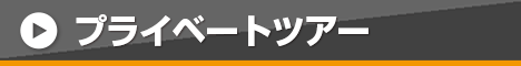 プライベートツアー